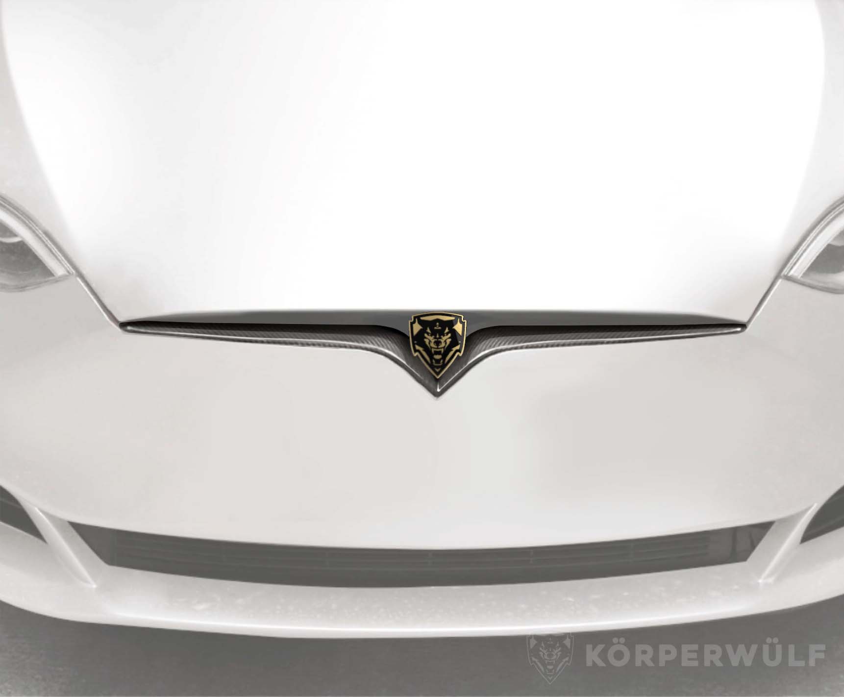 Carbon Fiber Front Grill Insert Overlay - Tesla Model S - Aero Kit, Design, Wheels